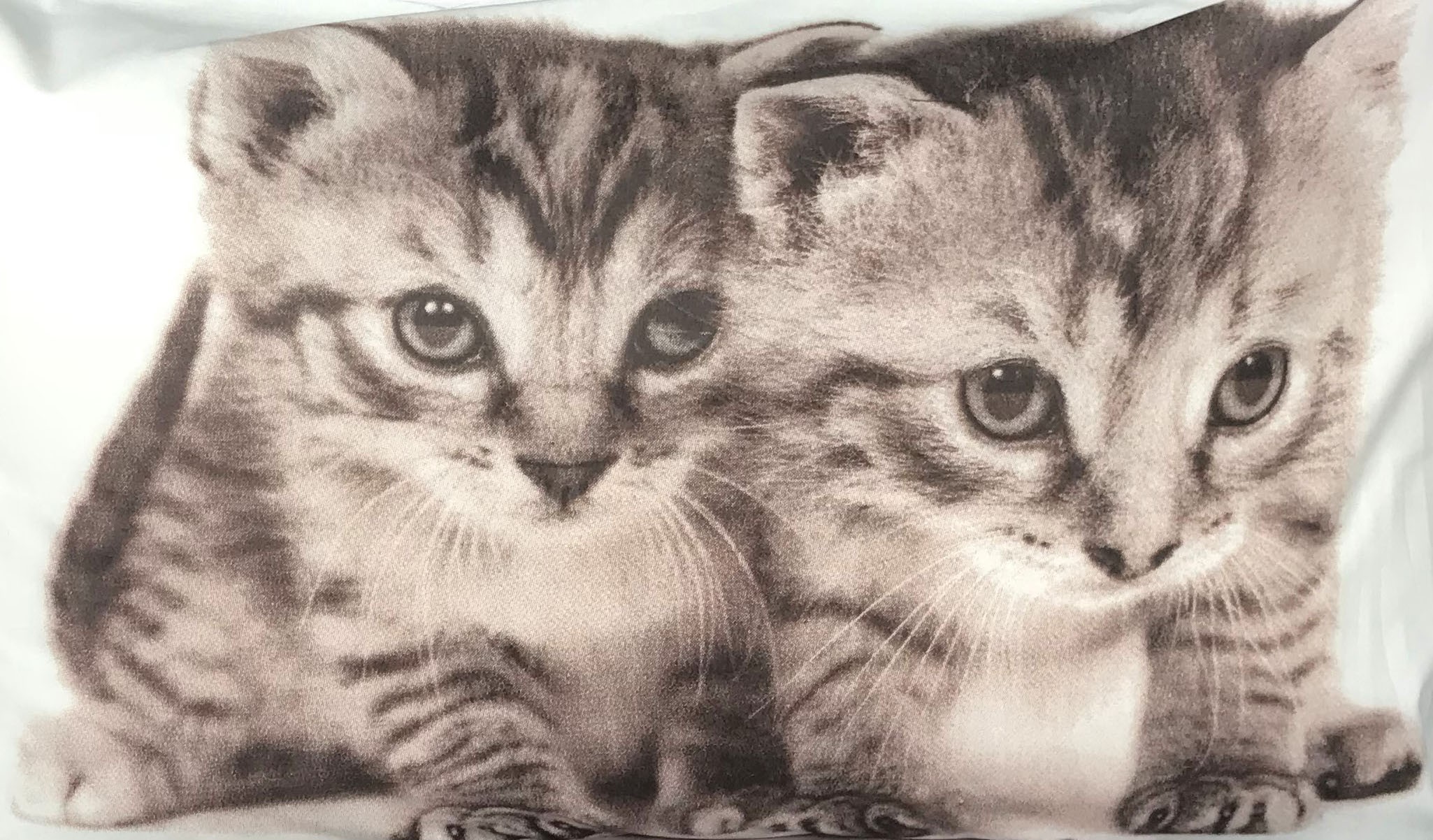 Completo lenzuola in puro cotone ispirato ai nostri amici gatti